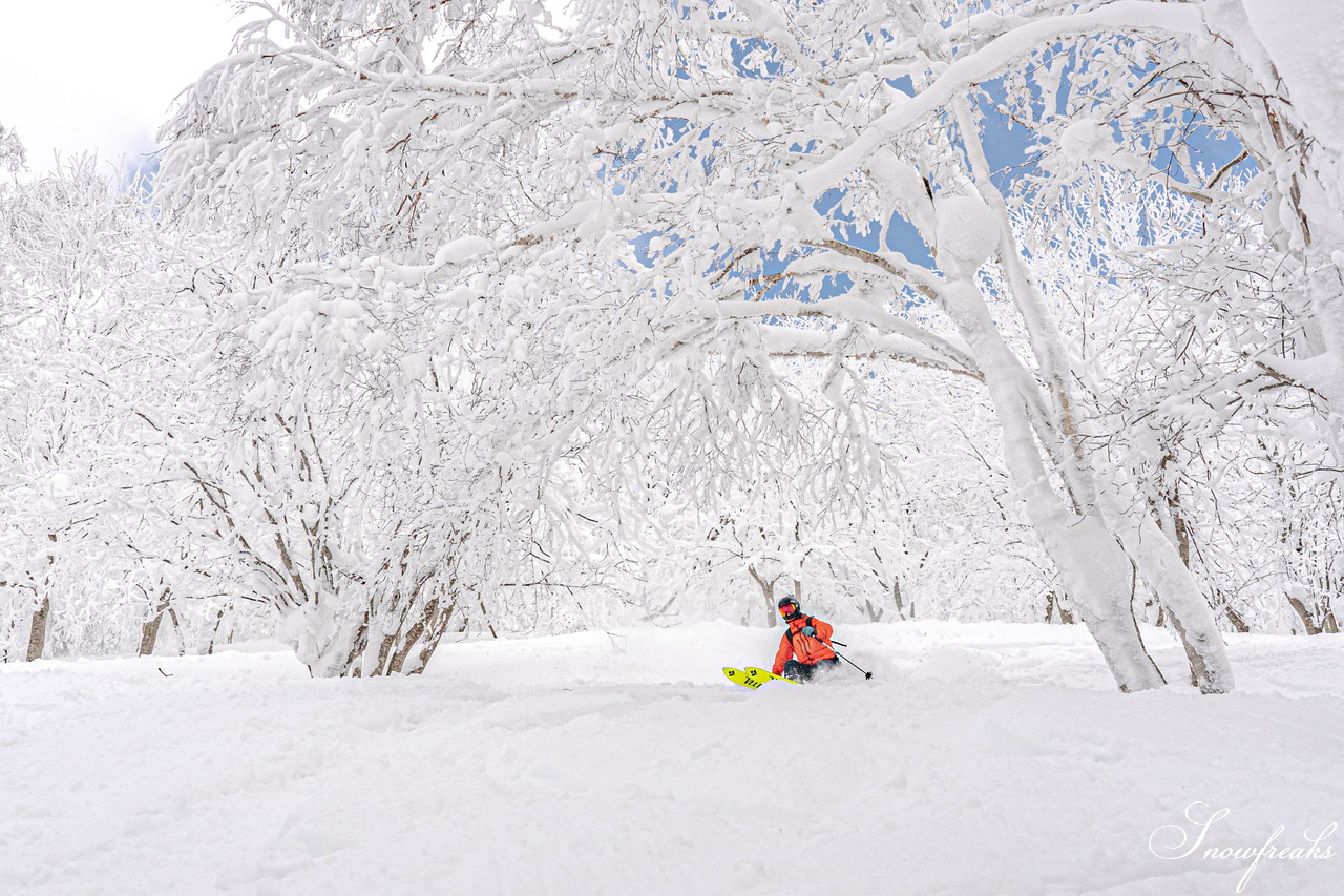 ルスツリゾート　2日間の吹雪の後の青空。たっぷり新雪が降り積もった樹氷林の中を滑る！